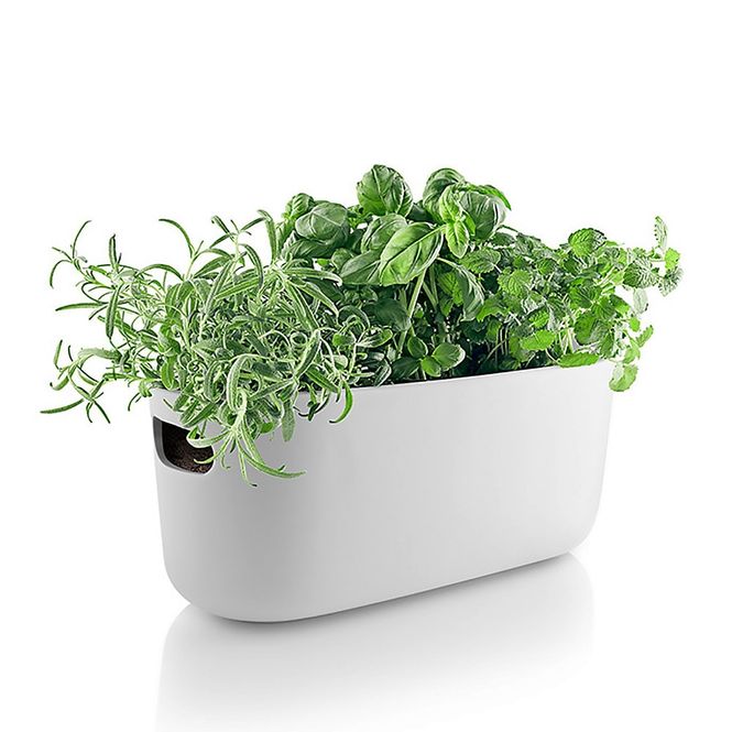 Main Image Urtepotte selvvannende