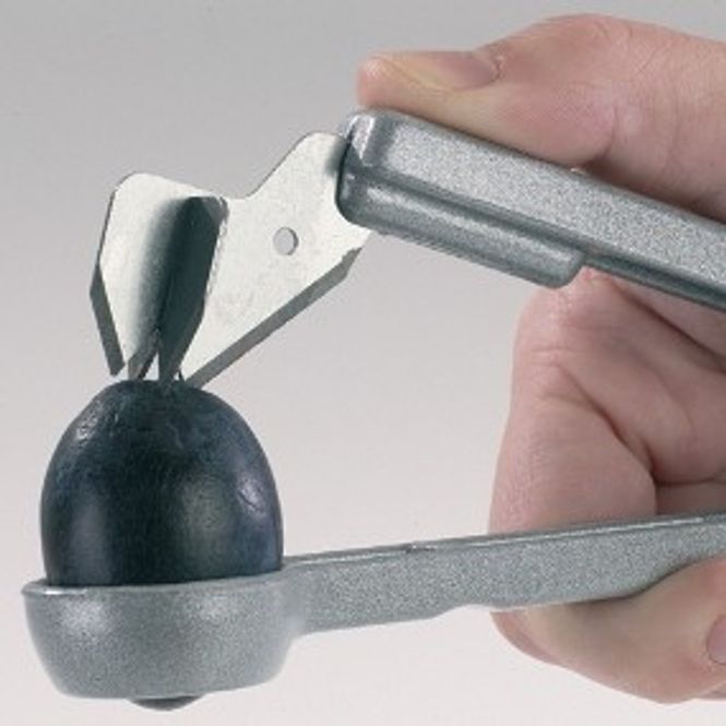 Hovedbilde Plommesten utstikker